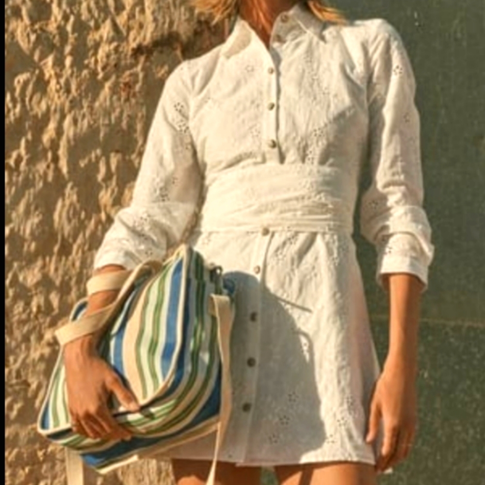 ZARA Embroidered Dress